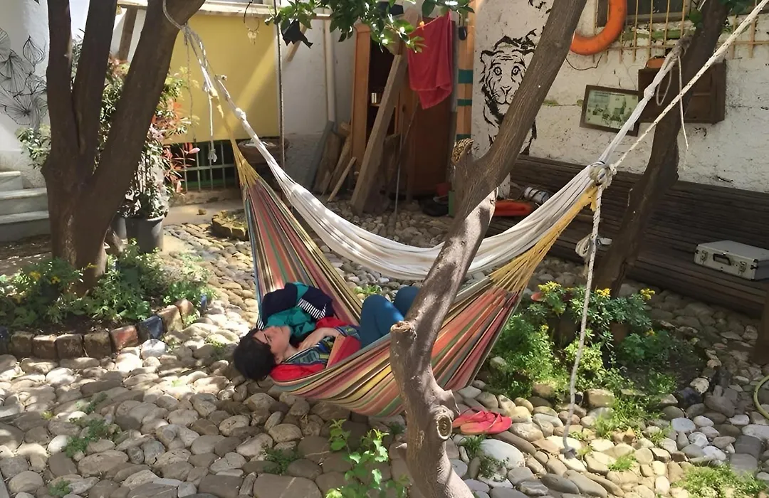 Tirana Backpacker Hostel-1
